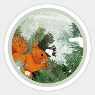 Red Squirrel Sticker